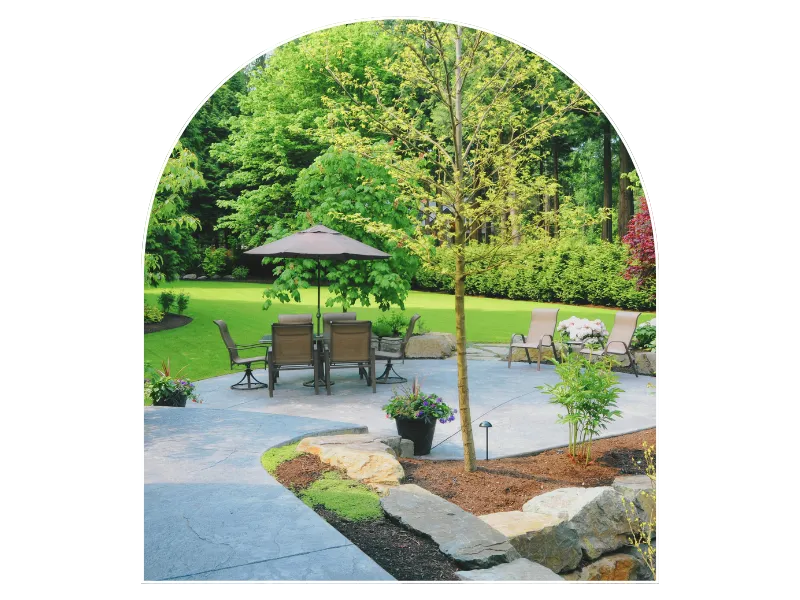 abattage d’arbre neuville sur sarthe