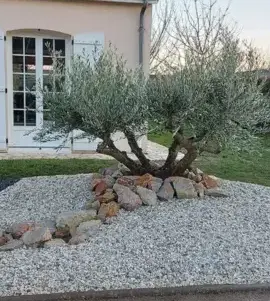 aménagement extérieur Sargé-lès Le Mans-1