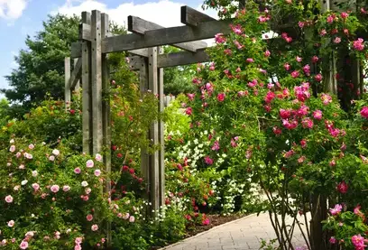 aménagement extérieur Sargé-lès Le Mans-3