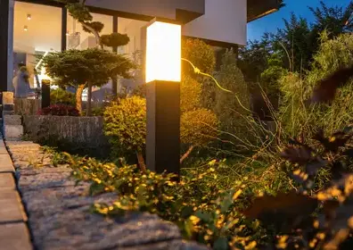 débroussaillage d'arbre La Bazoge-1