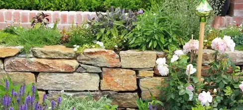 débroussaillage d'arbre La Bazoge-4