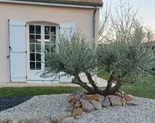 débroussaillage d'arbre La Bazoge-5