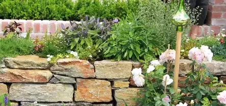 débroussaillage d'arbre La guierche-1