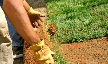 débroussaillage d'arbre La guierche-2