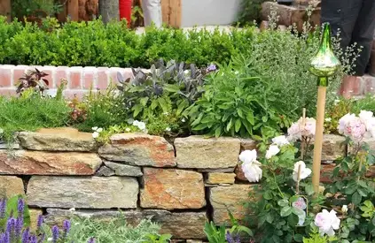 débroussaillage d'arbre La Milesse-1