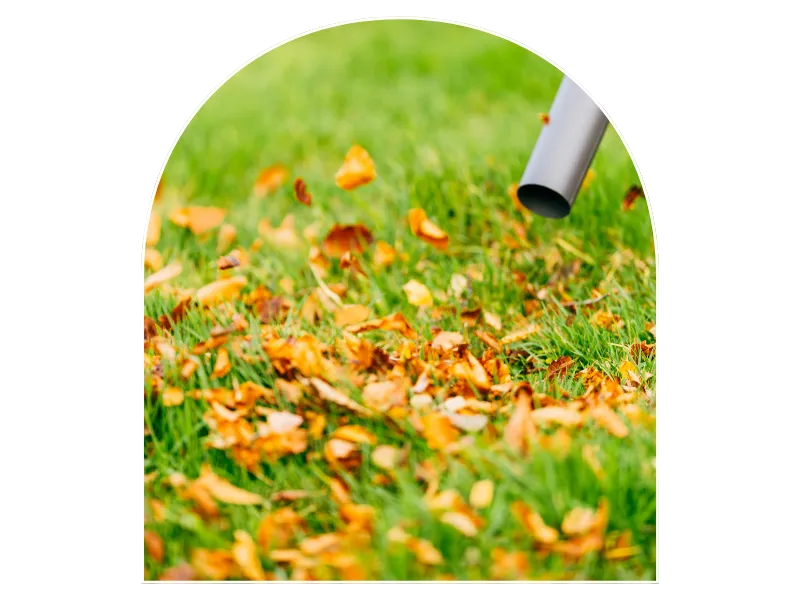 debroussaillage d arbre la milesse