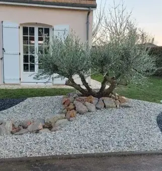 débroussaillage d'arbre La Milesse-2