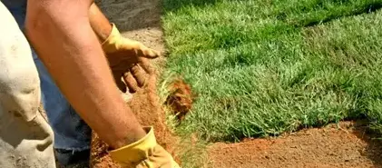 débroussaillage d'arbre La Milesse-3