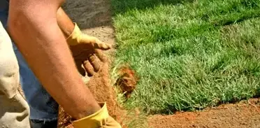 débroussaillage d'arbre Le Mans-3