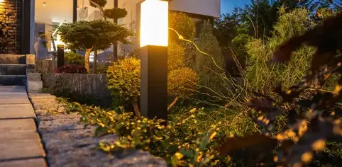 débroussaillage d'arbre Le Mans-4