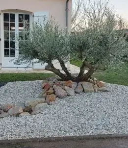 débroussaillage d'arbre Le Mans-5