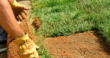 débroussaillage d'arbre Neuville sur Sarthe-1