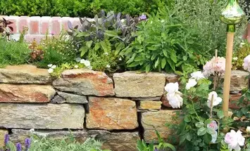 débroussaillage d'arbre Neuville sur Sarthe-4