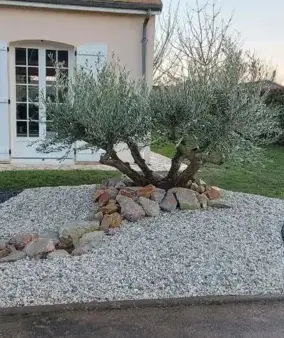 débroussaillage d'arbre Neuville sur Sarthe-5