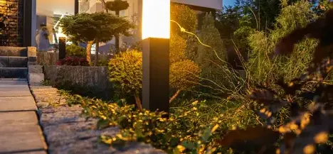 débroussaillage d'arbre Saint Saturnin-1