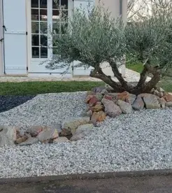 débroussaillage d'arbre Saint Saturnin-3