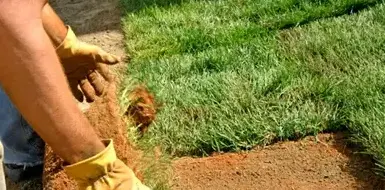 débroussaillage d'arbre Saint Saturnin-4