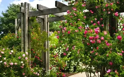 débroussaillage d'arbre Saint Saturnin-5