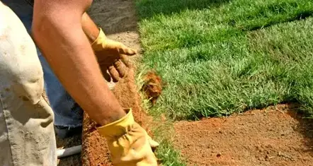 débroussaillage d'arbre Sargé-lès Le Mans-1