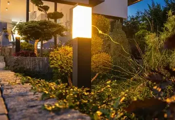 débroussaillage d'arbre Sargé-lès Le Mans-2