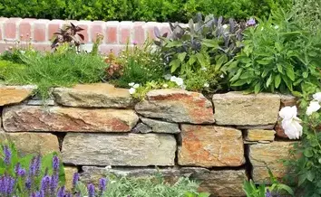 débroussaillage d'arbre Trangé-1