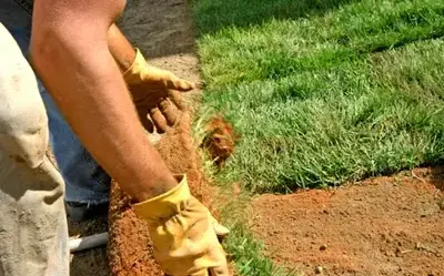 débroussaillage d'arbre Trangé-2