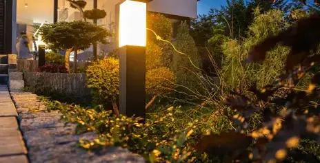 débroussaillage d'arbre Trangé-3