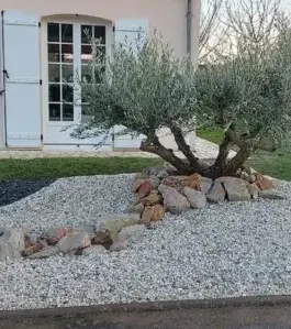 débroussaillage d'arbre Trangé-4