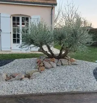 élagage La guierche-3
