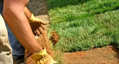 élagage La Milesse-1