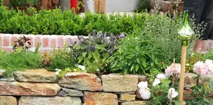 élagage La Milesse-2