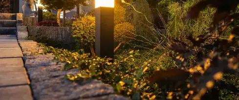 élagage La Milesse-3