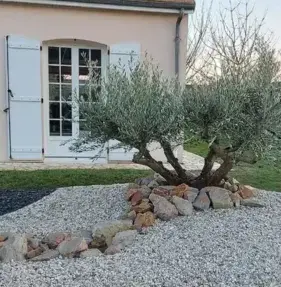 élagage La Milesse-5