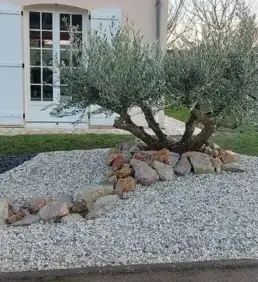 élagage Sargé-lès Le Mans-2