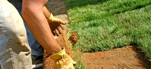 élagage Sargé-lès Le Mans-4