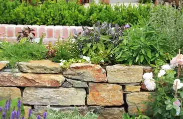 élagage Sargé-lès Le Mans-5