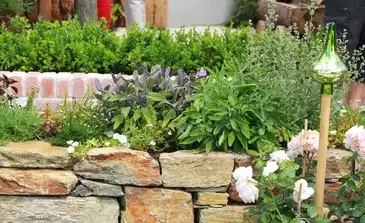 entretien de jardin Blois-1