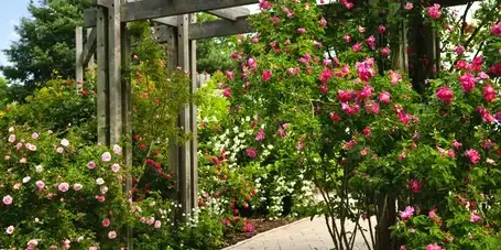 entretien de jardin Blois-3