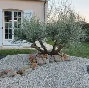 entretien de jardin Blois-5
