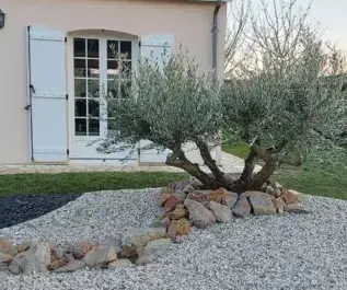 entretien de jardin Châteaudun-1