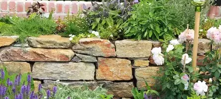 entretien de jardin Châteaudun-3