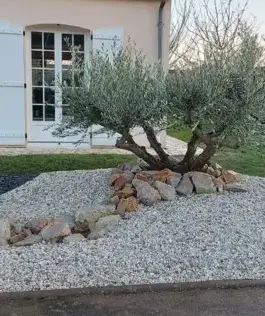 entretien de jardin Cloyes-les-Trois-Rivières-2