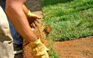 entretien de jardin Cloyes-les-Trois-Rivières-3