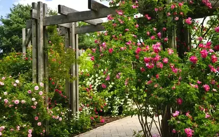 entretien de jardin Cloyes-les-Trois-Rivières-5