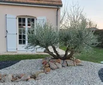 entretien de jardin La Bazoge-2