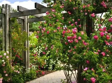 entretien de jardin La Bazoge-3