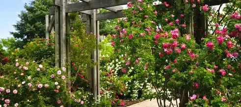 entretien de jardin La guierche-1
