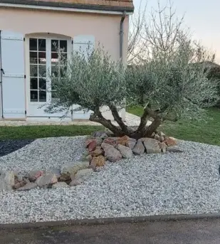 entretien de jardin La guierche-3