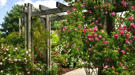 entretien de jardin La Milesse-1