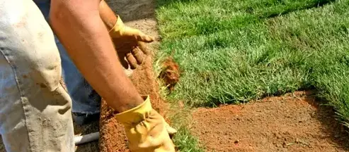 entretien de jardin La Milesse-4